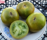 . Shamrock (Трилистник) 