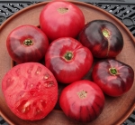 . Siberian Tiger Claws (Когти сибирского тигра)