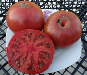 Семена томата сорта Siniy (Синий) - Шоколадные томаты