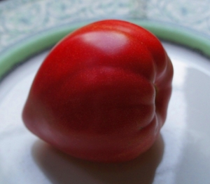 Семена томата сорта Spadaro (Спадаро) - Высокорослые округлые 