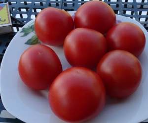 Семена сорта томата Stad tomate Vitella - Высокорослые округлые