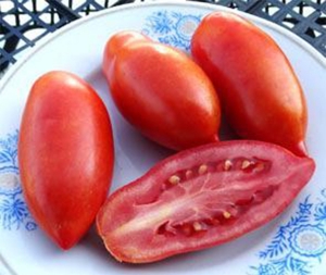 Семена томата сорта Super Italian Paste (Супер итальянская паста) - Длинноплодные