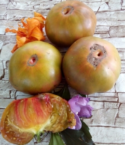 Семена томата сорта YAR 5 - Гиганты двуцветные