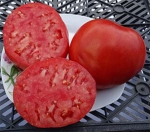 . Zdravene de bacan (Здравене де Бакан)