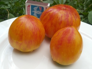 Семена сорта томата Beauty Queen Heart (Cердце Королевы красоты) - Полосатые