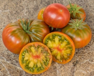 Семена сорта томата Dwarf Copperhead (Гном Медная голова) - Гномы