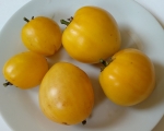 . Dwarf Lemon Ice (Гном Лимонный Лед) 
