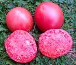 . Karma Pink (Карма розовая)