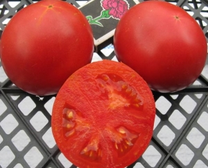 Сорт томата Леонор - универсальные низкорослые крупноплодные