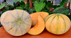 Семена дыни сорта Мадху Раш (Madhu Ras)