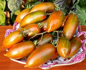 Семена томата сорта Tiger zebra (Тигровая зебра) - Высокорослые коктейльные