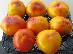 Семена сорта томата Звезда техаса (Texas Star) - двуцветные гиганты